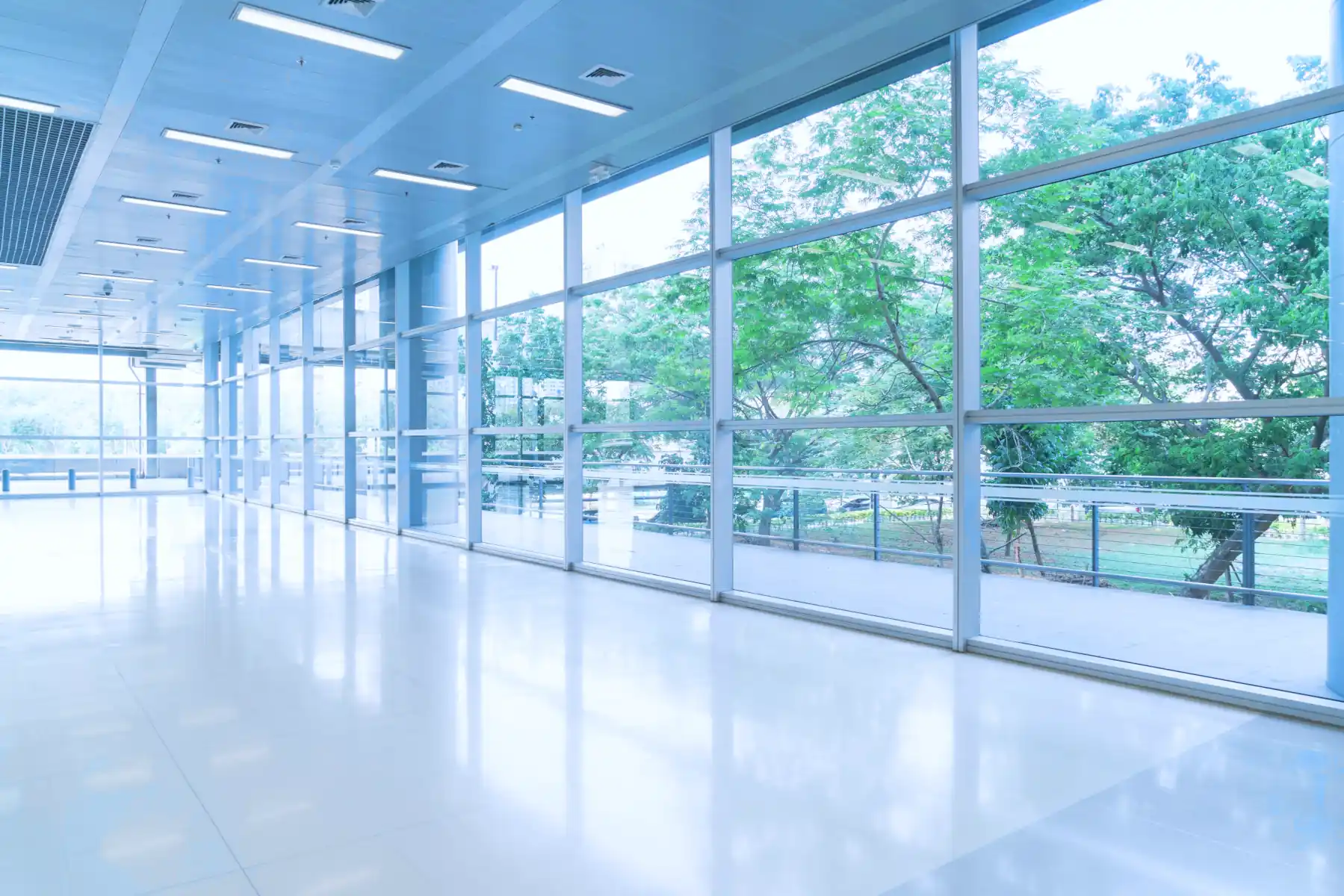 Clean Windows with Pure Water Cleaning Systems