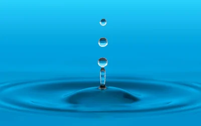 How Pure Water Fed Poles Work and Why We Use Them for Window Cleaning